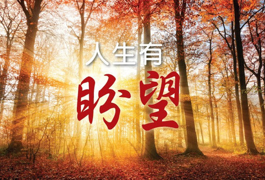 AW311_AStoryofHope_TCCover.jpg