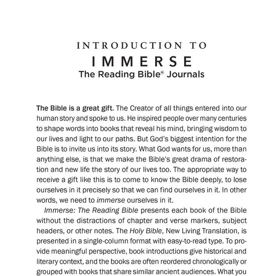 immerse-hebrews-interior-intro-01.jpg