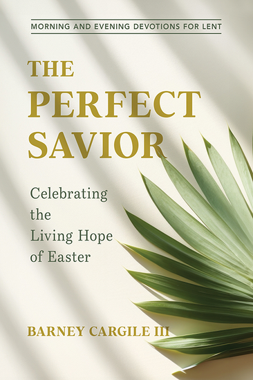 g3559_c_perfect_savior_the-v2.png