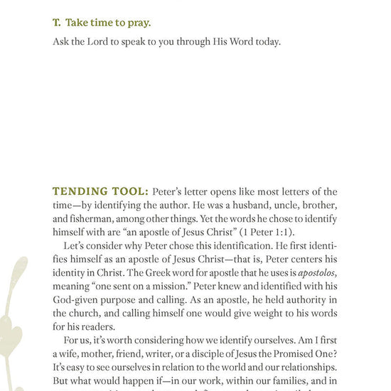 1-Peter-interior-Tool-04.jpg