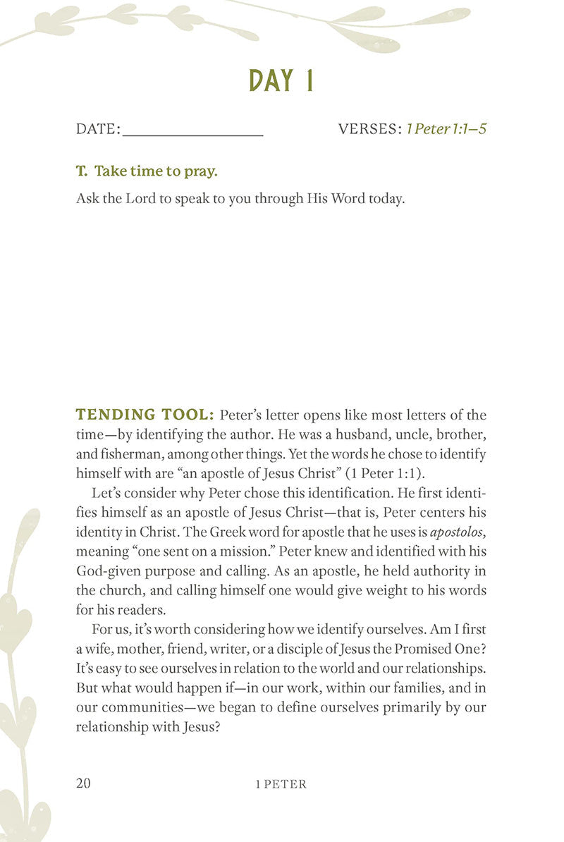 1-Peter-interior-Tool-04.jpg