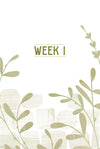 1-Peter-interior-week-1.jpg