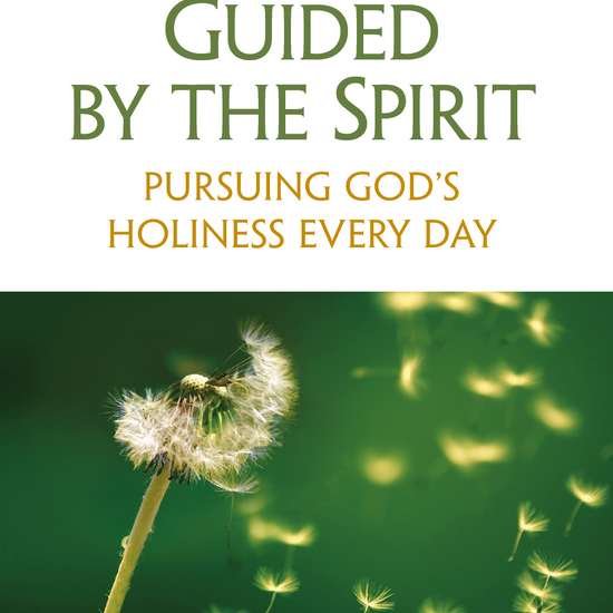 Guidedbythespirit.png