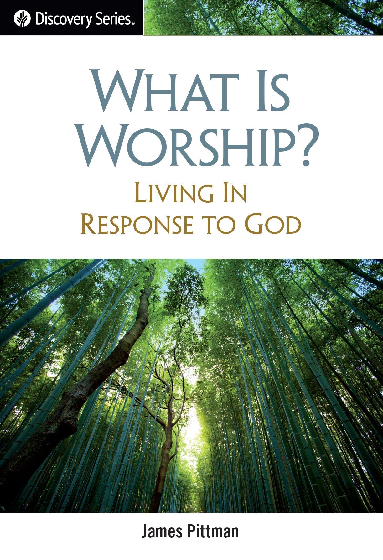 Q0330_WhatIsWorship.jpg