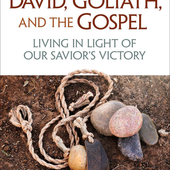 Q0435_David-Goliath-and-the-Gospel.jpg