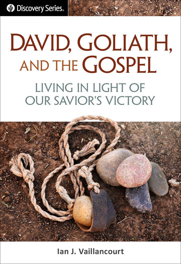 Q0435_David-Goliath-and-the-Gospel.jpg