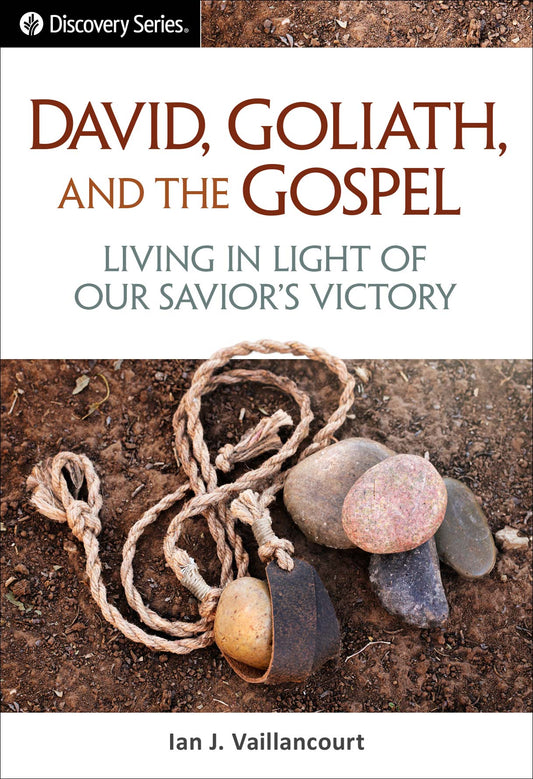 Q0435_David-Goliath-and-the-Gospel.jpg