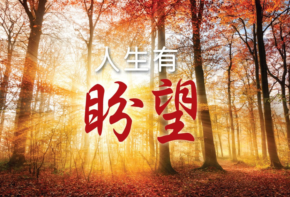SCStoryofHope_Cover.jpg