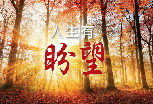 SCStoryofHope_Cover.jpg